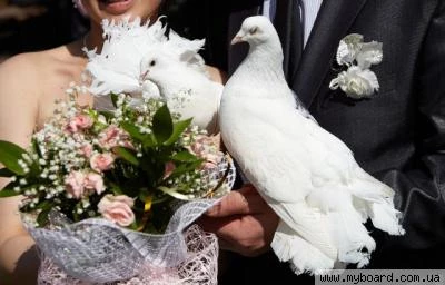 Фото фото видеосъемка свадеб!
