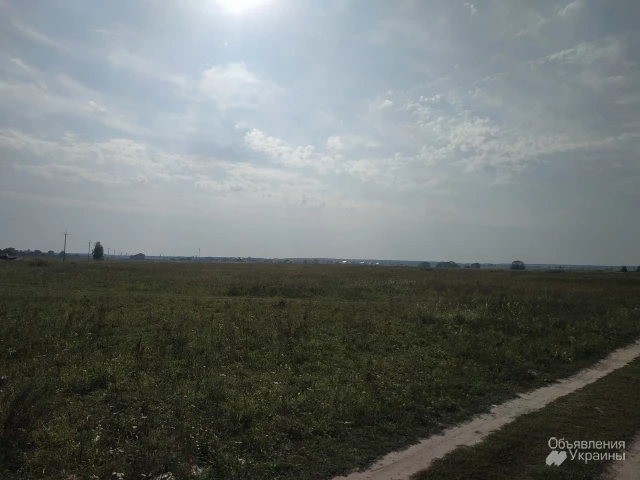 Фото Земля сельскохозяйственного назначения (32 км от Киева)