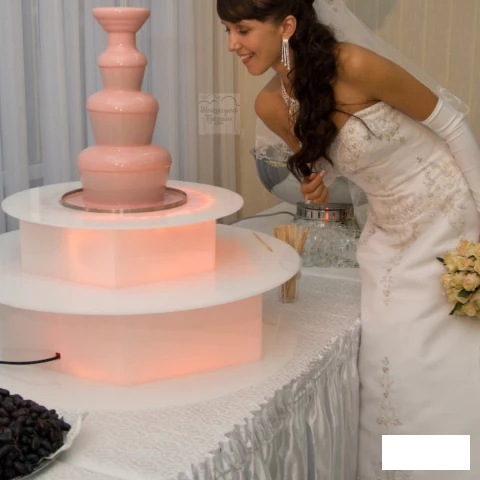 Фото Шоколадный фонтан на свадьбу Аренда