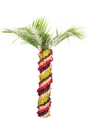Фото Фруктовая пальма на любой вид праздника.