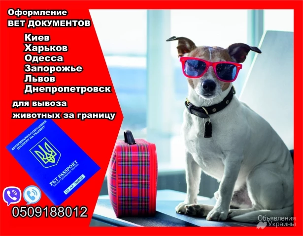 Фото Оформлення вет документів для вивезення собаки з України до Європи