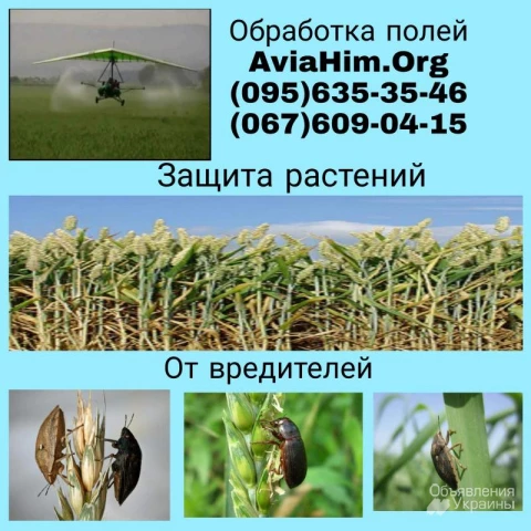 Фото Авиахимическая обработка полей, Украина