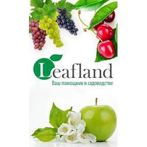 Фото Интернет-магазин Leafland - предлагаем саженцы высокого качества по доступным ценам