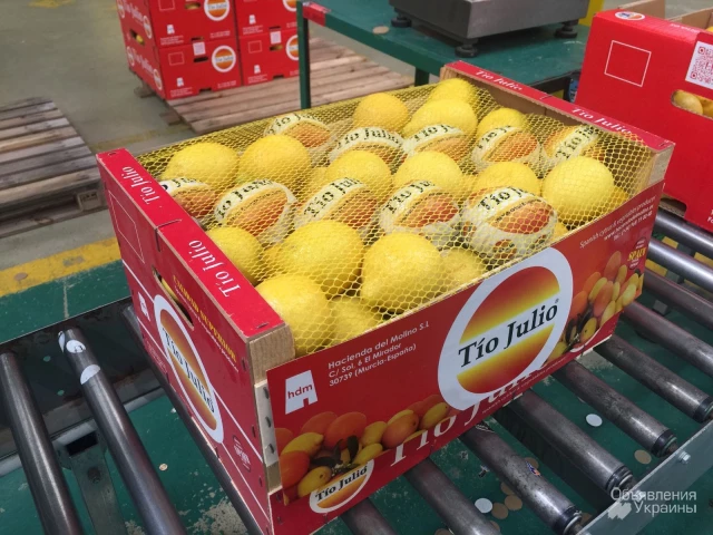Фото Продаем лимоны из Испании