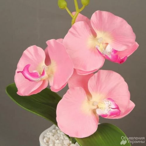 Фото Цветок декоративный Supretto Орхидея с подсветкой в горшочке (5551)