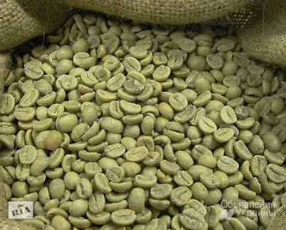 Фото Зеленый кофе в зернах Arabica India Cherry AA (Арабіка Індія Черрі АА)