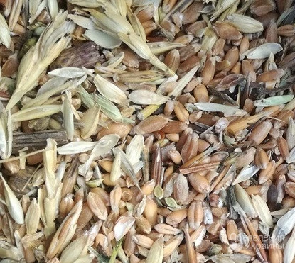 Фото Куплю бобовые, зерновые, масличные отходы, некондицию