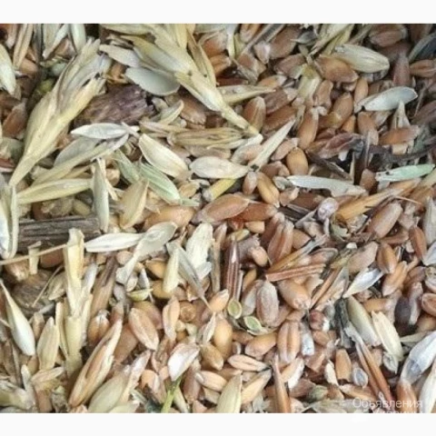 Фото Куплю відходи соняшника, сої, кукурудзи, пшениці