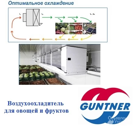 Фото Guntner Agri-Cooler — воздухоохладитель для сельскохозяйственной продукции