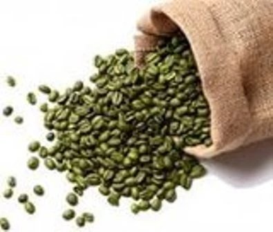 Фото Кофе Робуста Индия Черри АА, натуральный, зеленый (необжаренный) в зернах