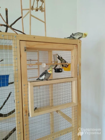 Фото Изготовление клетки вольеры для декоративных птиц и др Ваших питомцев