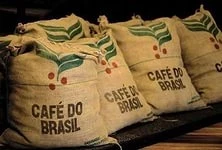 Фото Кофе Арабика Бразилия Сантос, натуральный, зеленый (необжаренный) в зернах