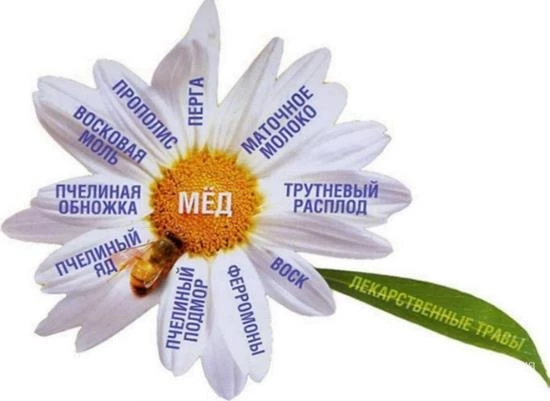 Фото Продукты пчеловодства с лекарственными растениями  компании «Фитаписвит» и «Тенториум» в Харькове.