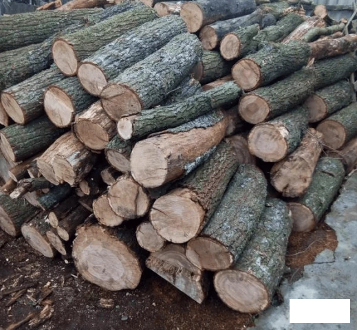 Фото Купити метрові дрова Луцьк Ківерці