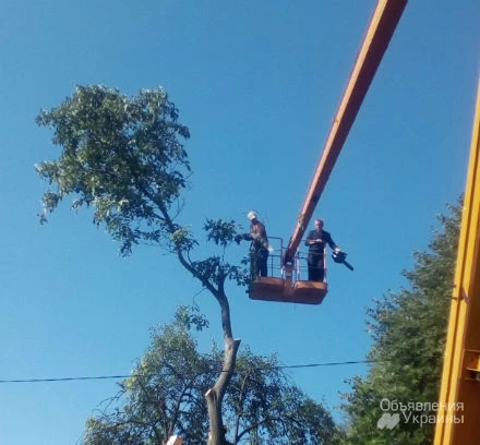 Фото Спил дерева,демонтаж работы,земляные работы в ручную Одеса