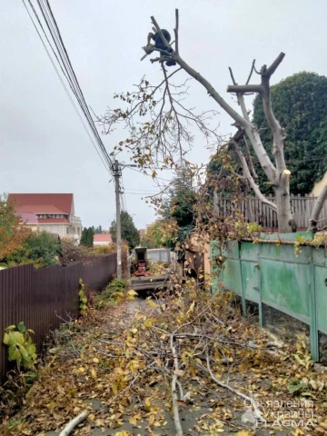 Фото Спил дерева,демонтаж работы,земляные работы в ручную Одеса