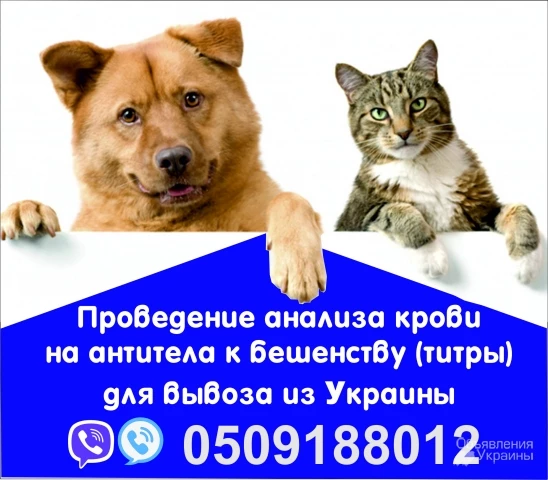 Фото Аналіз на сказ Євродовідка для собак титри на антитіла Офіційно