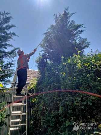 Фото Садовник, обрезка сада, садовых деревьев, уход за садом Одеса