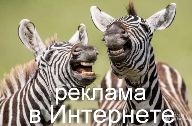 Фото Реклама в Интернете Одесса