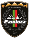 Фото «Pandora Styling Studio» - стайлинг автомобильных приборных панелей