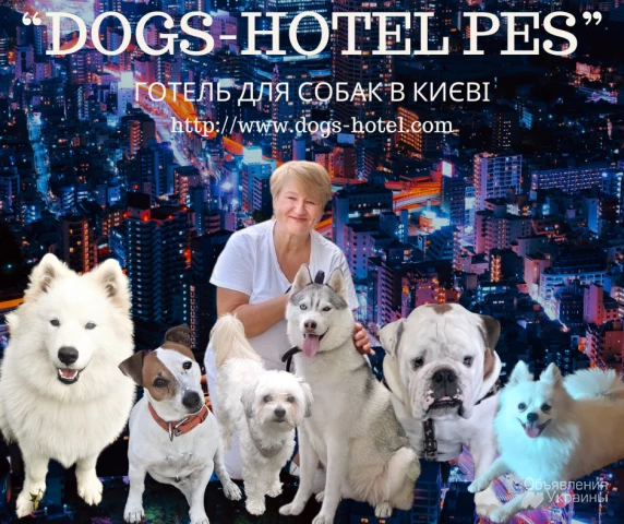 Фото Гостиница для собак в Киеве - зооотель для животных