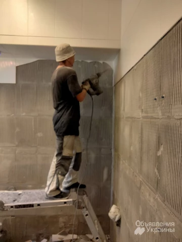 Фото Демонтаж, землянные работы,уборка участка,спил дерева с вывозом мусора Одеса