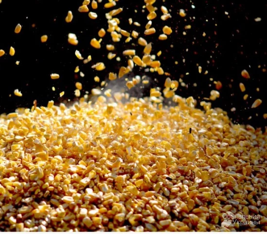 Фото ​​Куплю бобові, зернові, олійні відходи, некондицію