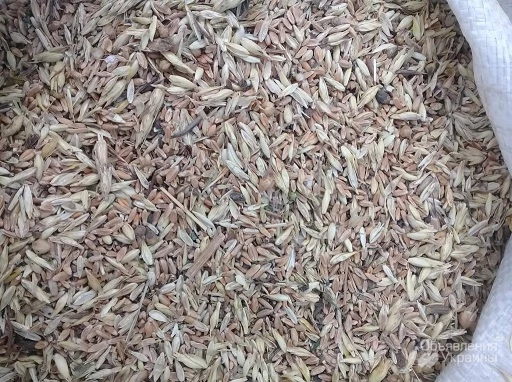 Фото Покупаем круглый год зерновые, масличные, бобовые отходы