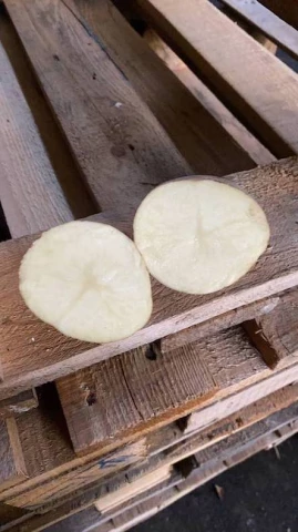 Фото Продовольча (товарна) картопля оптом